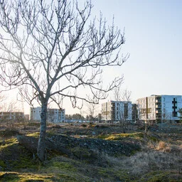 Kiire kaablinett ja jõukas IT-rahvas ilmuvad piirkonda käsikäes