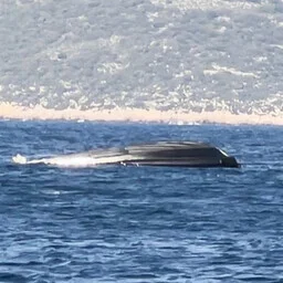 Kreekas Frontexi operatsioonil õnnetusse sattunud piirivalvurite seisund on stabiilne