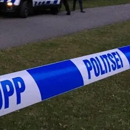 Politsei lasi Kose vallas maha relvastatud mehe