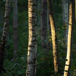 Kevadine raie tekitab pingeid majandushuvide ja looduskaitse vahel