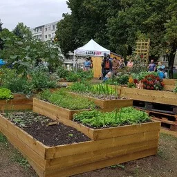 Metsik tühermaapeenar on parem kui kastiaed