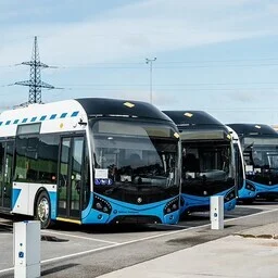 Tallinn taastab trolliliikluse Haaberstisse ja laiendab Lasnamäele