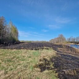 Päästjad said laupäeval 16 väljakutset metsa- ja maastikutulekahjudele