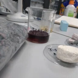 Eesti teadlased teevad tekstiiliprahist biolagunevat penoplasti