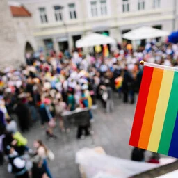 Riiklik LGBT+ tegevuskava võrdsed võimalused