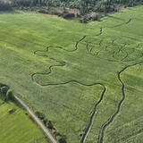 Saaremaal on nüüd oma Saaremaa