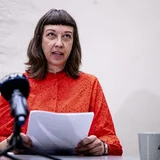 Audit: kunstnike liidu kontrollid ei olnud piisavad